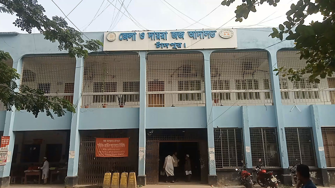 মাকে ইট দিয়ে পিটিয়ে হত্যা, ছেলের যাবজ্জীবন