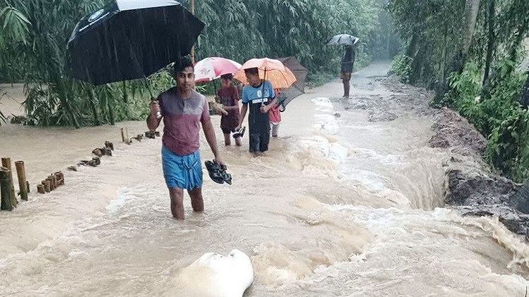 টানা বৃষ্টিতে ফেনীতে বন্যা নিয়ন্ত্রণ বাঁধে ভাঙন